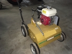 Rental scarifier 50 cm Montdidier €46